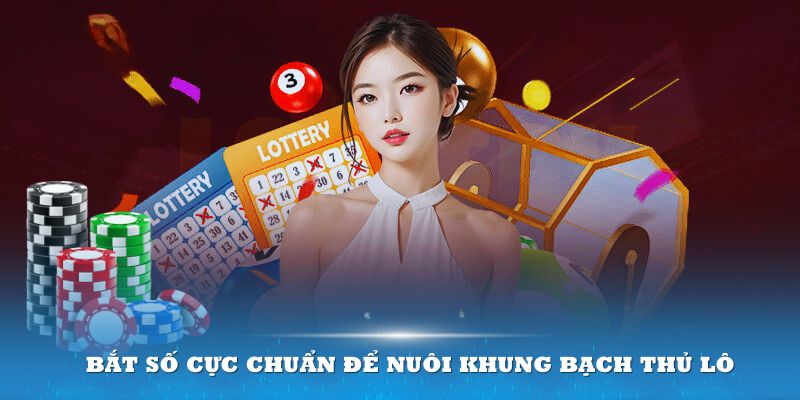 Bắt số cực chuẩn để nuôi khung bạch thủ lô hiệu quả