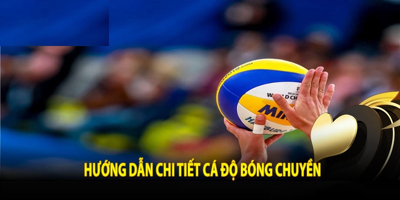 Cá Độ Bóng Chuyền - Hướng Dẫn Tân Thủ Tham Gia Đơn Giản