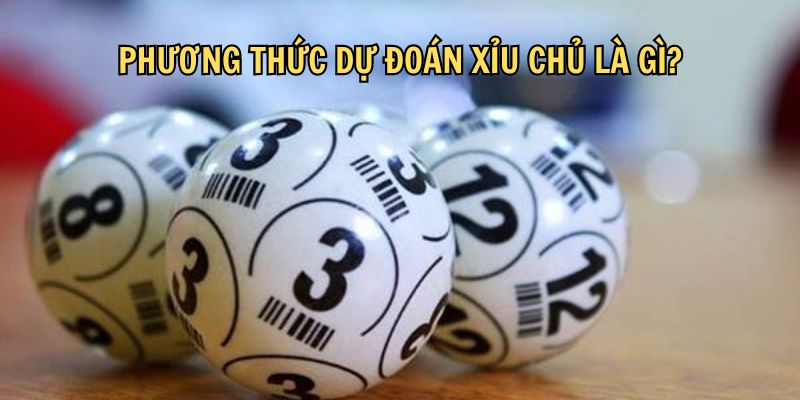 Tổng hợp 5 hình thức dự đoán mang lại chiến thắng lớn