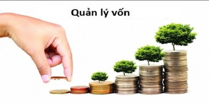 Quản lý vốn để không bị lỗ khi chơi lô đề đá