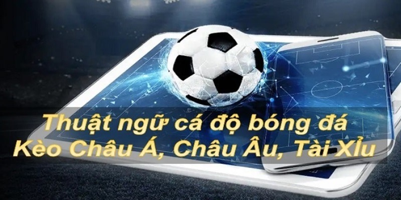 Thuật ngữ trong kèo chấp Châu Á