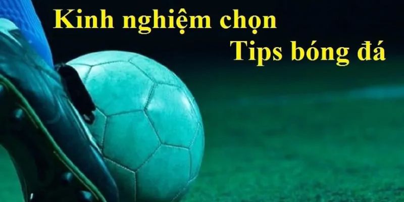 Tip soi kèo phổ biến được cao thủ áp dụng